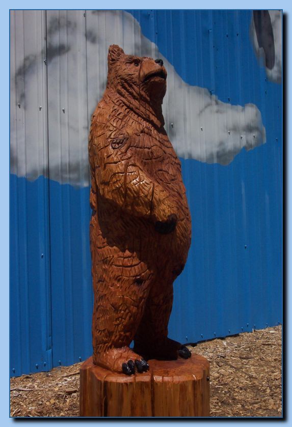 1-43 bear